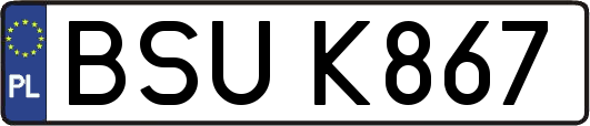 BSUK867