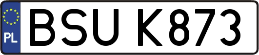BSUK873