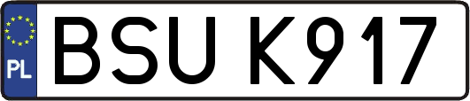 BSUK917