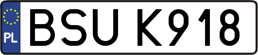 BSUK918