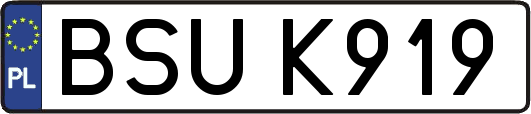 BSUK919