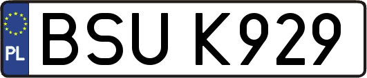 BSUK929