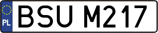 BSUM217