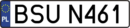 BSUN461