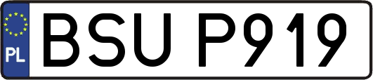 BSUP919