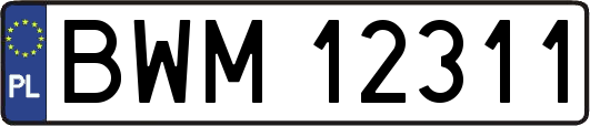 BWM12311