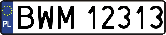 BWM12313