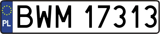 BWM17313