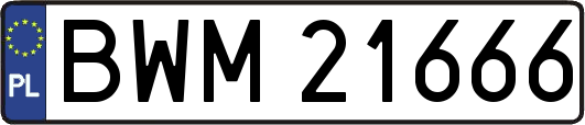 BWM21666