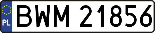 BWM21856