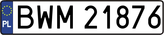 BWM21876