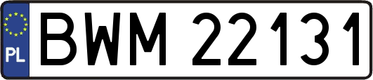 BWM22131