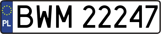 BWM22247