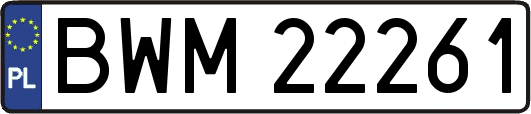 BWM22261