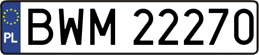 BWM22270