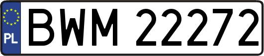 BWM22272