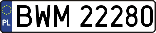 BWM22280