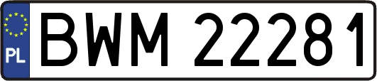 BWM22281