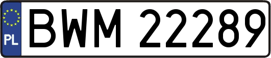 BWM22289