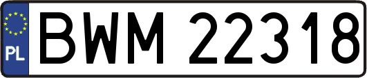 BWM22318