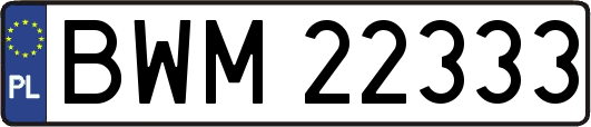BWM22333
