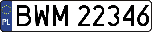BWM22346