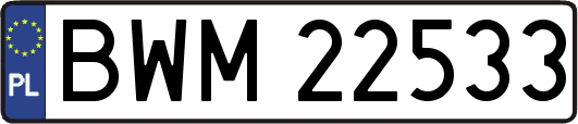 BWM22533