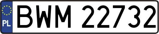 BWM22732