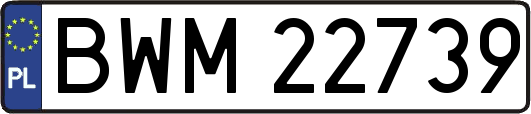 BWM22739