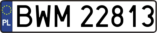 BWM22813