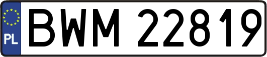 BWM22819