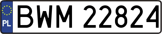 BWM22824
