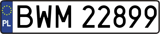 BWM22899