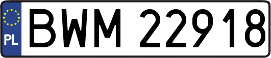 BWM22918