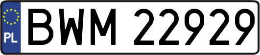 BWM22929