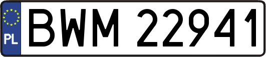 BWM22941