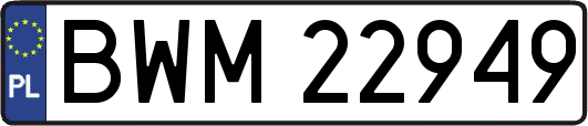 BWM22949