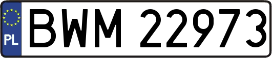 BWM22973