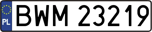 BWM23219