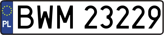 BWM23229