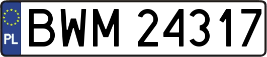 BWM24317