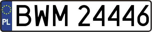 BWM24446