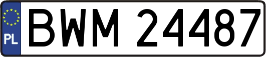 BWM24487
