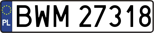 BWM27318