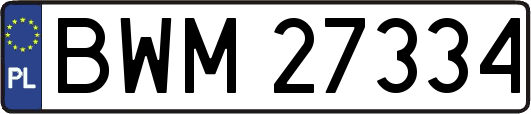 BWM27334