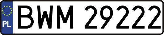 BWM29222
