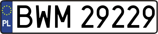 BWM29229