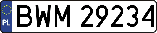 BWM29234