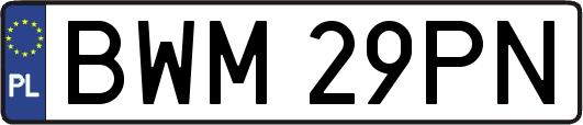 BWM29PN