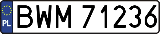 BWM71236